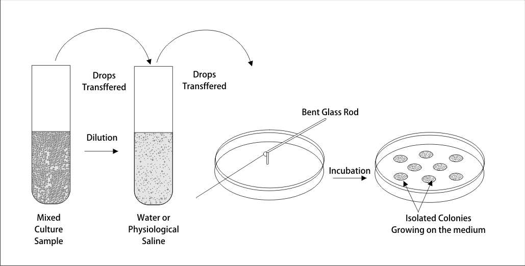Familiarize with culture media-the growth and survival media of microorganisms 2 图3