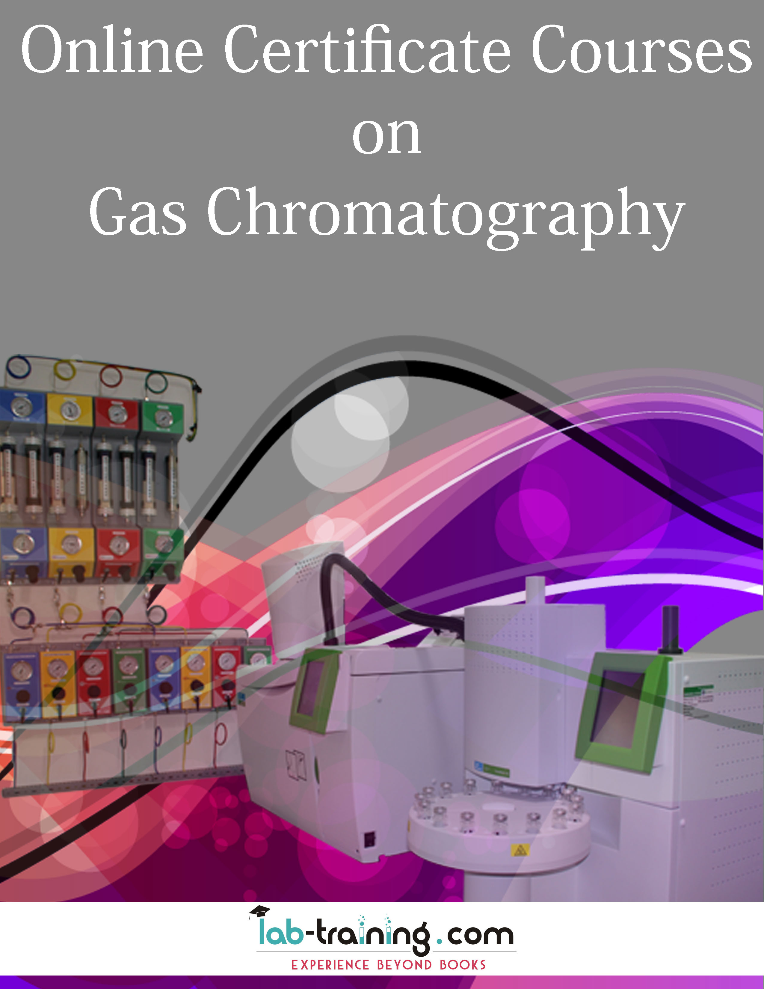 Certificate Course on Gas Chromatography now available! 2 气相色谱证书课程现已开课!manbetx官方